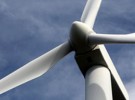 Ecology Surveys for Commercial Wind Farms